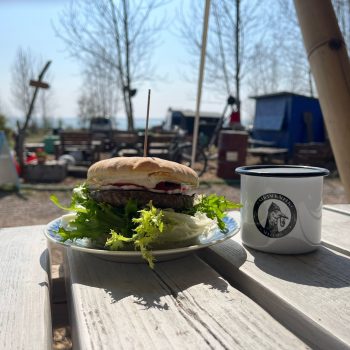 279648733_370783338318994_5826783667777195369_n