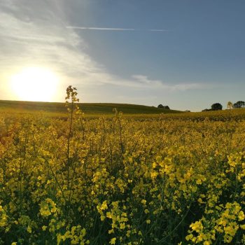 280567329_377681507629177_3205351926361721022_n