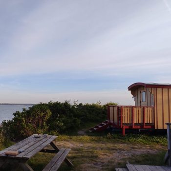 280681216_377681480962513_2169348894448240245_n